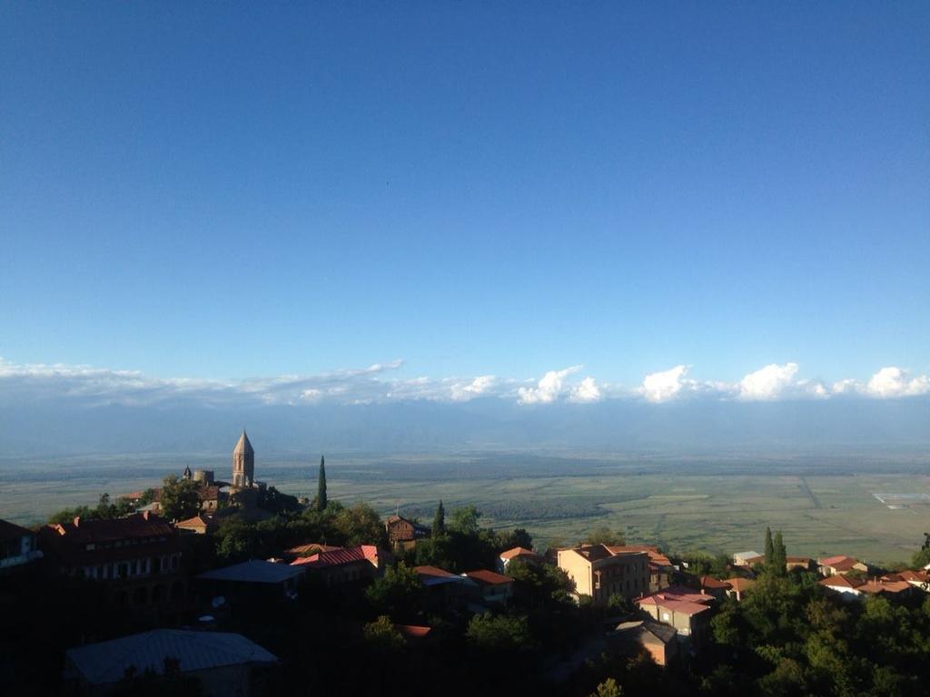 Tsnoristskali Tsitso & Soso Guesthouse מראה חיצוני תמונה