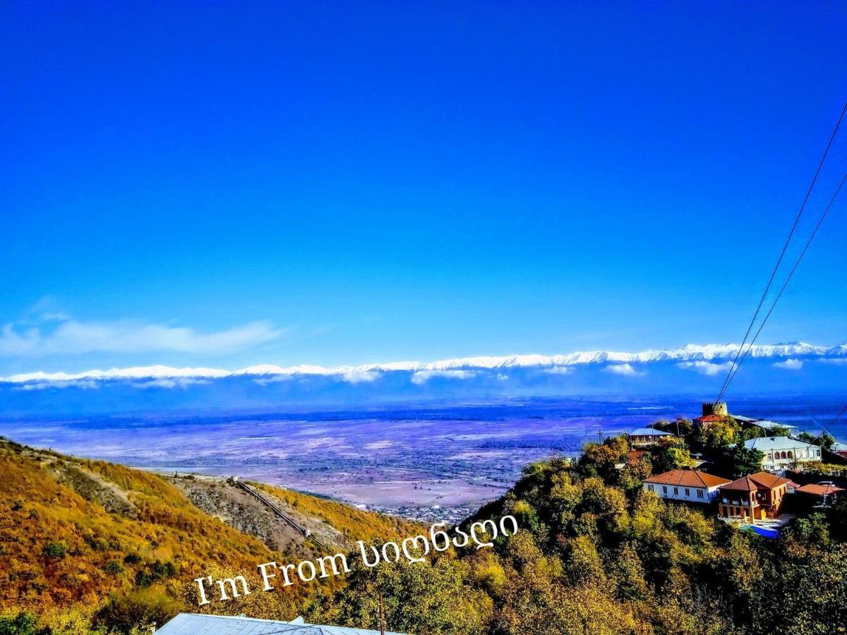 Tsnoristskali Tsitso & Soso Guesthouse מראה חיצוני תמונה