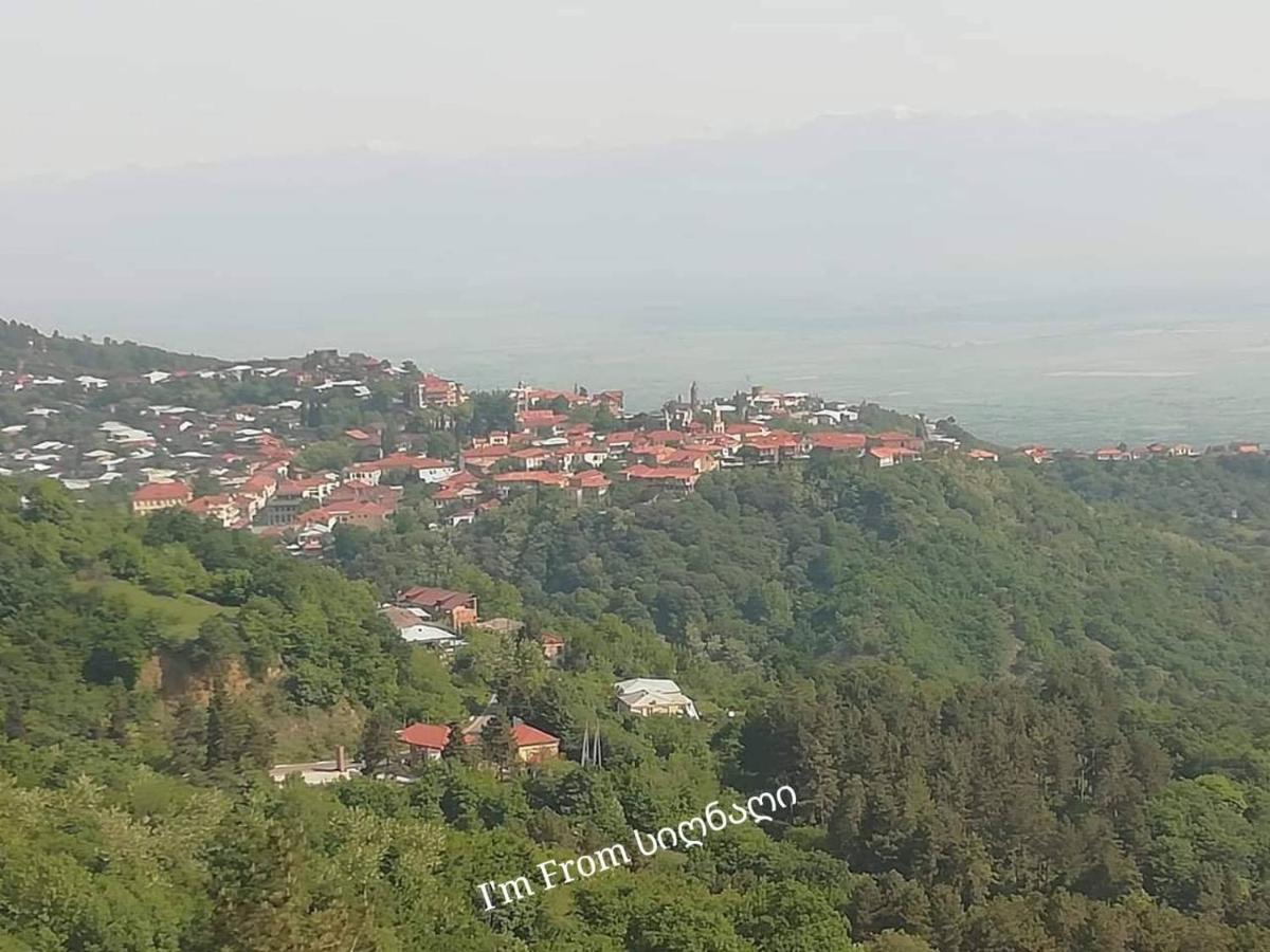 Tsnoristskali Tsitso & Soso Guesthouse מראה חיצוני תמונה